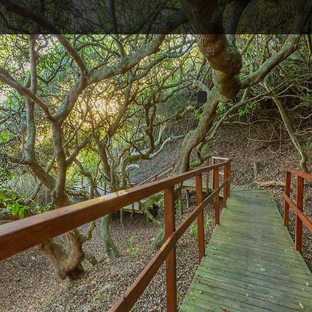 Moquini House Wilderness Hotel Esterno foto