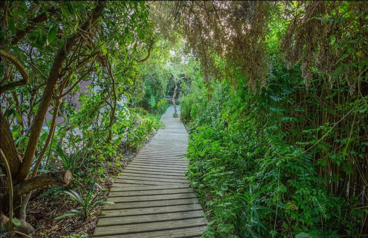 Moquini House Wilderness Hotel Esterno foto